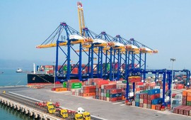 Trade turnover jumps 16.2% from January to mid-July