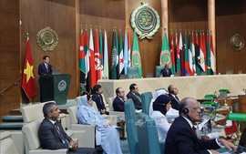 Viet Nam seeks to write new chapter of cooperation with Arab nations: State President
