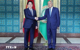 State President attends Vietnamese flag-raising ceremony at Arab League headquarters