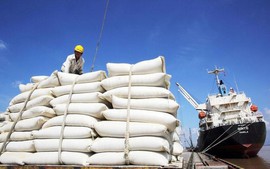 Viet Nam surpasses Thailand to become world's second-largest rice exporter