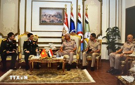 Viet Nam, Egypt sign Letter of Intent on defense cooperation