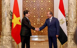 Viet Nam, Egypt upgrade ties to Comprehensive Partnership