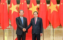 Top Vietnamese and Chinese legislators hold talks