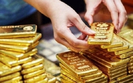 SBV asked to consider establishment of gold exchange
