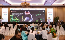 Eurasia-Pacific Regional Dialogue: Finance solutions for biodiversity protections