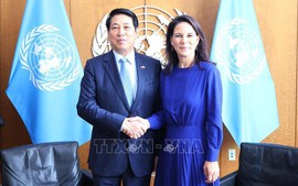 Luong Cuong meets President of 80th UNGA, foreign leaders in New York