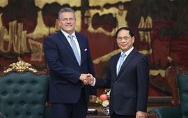 EU remains one of Viet Nam's key partners, Deputy PM reassures
