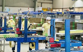 Ministry proposes 7% increase in regional minimum wage from 2026
