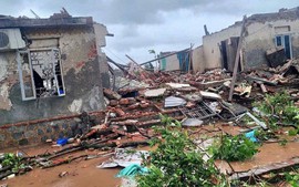 Typhoon Bualoi claims 21 lives, 23 still missing in Viet Nam