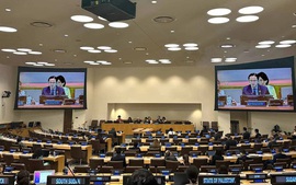UN hails Viet Nam’s achievements, contributions to pandemic prevention