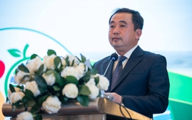 ISG Plenary Meeting accelerates green, low-emission food systems transformation