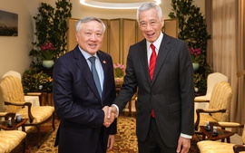 Standing Deputy PM meets Senior Minister Lee Hsien Loong