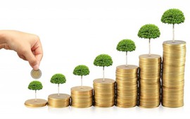 New policies take effect from January 2026