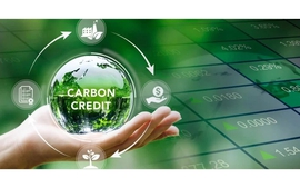 Viet Nam pilots domestic carbon trading exchange