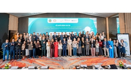 New joint initiative to support sustainable finance for green transformation in Viet Nam