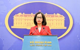 Viet Nam welcomes all efforts bringing sustainable peace to Gaza Strip