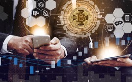 Viet Nam ranks 7th in number of crypto asset holders globally