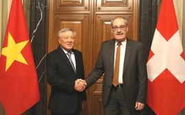 Standing Deputy Prime Minister meets Swiss President Guy Parmelin