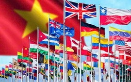 How Viet Nam engages volatile world