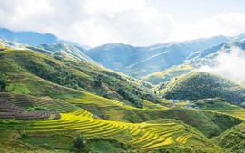 Sa Pa is fastest-growing destination in Asia in 2025