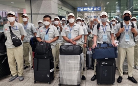 Manpower export in 2025 exceeds preset goal