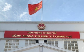 AmCham Viet Nam hails Viet Nam Government Portal’s essential role