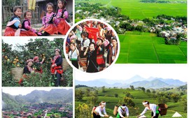 Central Steering Committee on national target program for on social, cultural, rural development in ethnic minority and mountainous areas 2026–2035 founded
