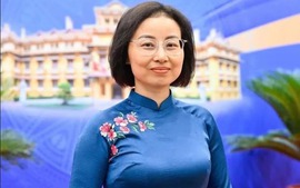 Injecting fresh impetus into Viet Nam-Denmark relations