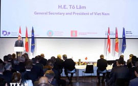 Top Vietnamese leader attends Vietnam–Denmark Business Forum in Copenhagen