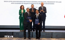 To Lam attends high-level roundtable with major European, Belgian businesses