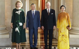 Top leader To Lam meets King Philippe of Belgium in Brussels