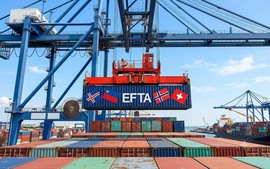 Viet Nam prepares for signing trade deal with European Free Trade Area