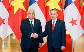 Viet Nam, Panama issue Joint Statement