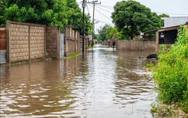 Viet Nam donates US$100,000 to help Mozambique overcome natural disaster consequences