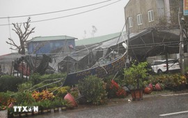 UNESCO, Japan help strengthen early warnings capacity in Nghe An