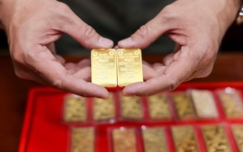 Fresh policies take effect from February 2026