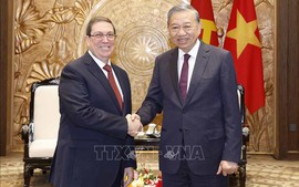 Party chief hosts Special Envoy of Cuban Party and State