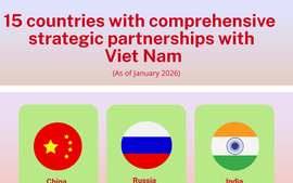 INFOGRAPHICS: Viet Nam's 15 comprehensive partnerships