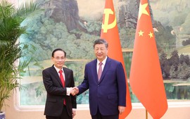 General Secretary To Lam's Special Envoy pays courtesy call on top Chinese leader Xi Jinping