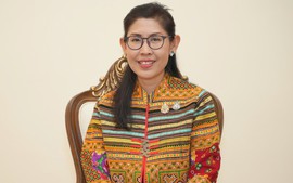 Viet Nam will further advance economic achievements: Thai Ambassador