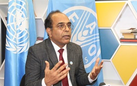 FAO: Viet Nam moves towards a more modern, sustainable and high-value agricultural sector