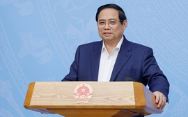 Viet Nam should leverage silver economy to address population ageing