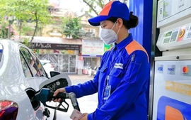 Finance ministry proposes 50% reduction in environmental protection tax on energy