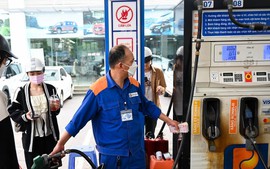 Environmental protection taxes on fuels temporarily removed to curb price hikes