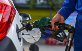 Finance ministry proposes extending fuel tax exemption by end of June