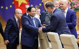 Prime Minister Pham Minh Chinh hosts European diplomats in Viet Nam
