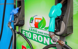 E10 biofuel may be rolled out from next June