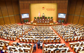 National Assembly temporarily removes fuel taxes through June