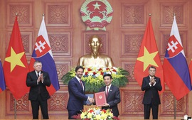 Full Joint Statement on establishment of strategic partnership between Viet Nam and Slovakia
