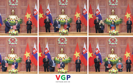 Viet Nam, Slovakia sign cooperation documents